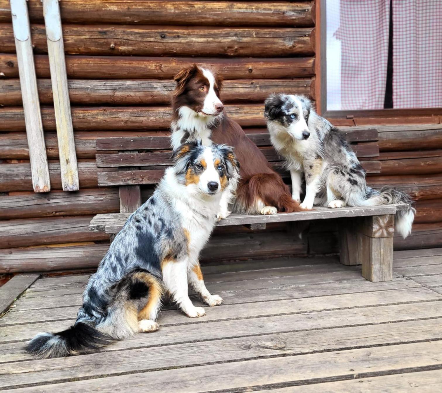 Srub Na Svahu Sjezdovky V Radvanicich Radvanice  Luaran gambar